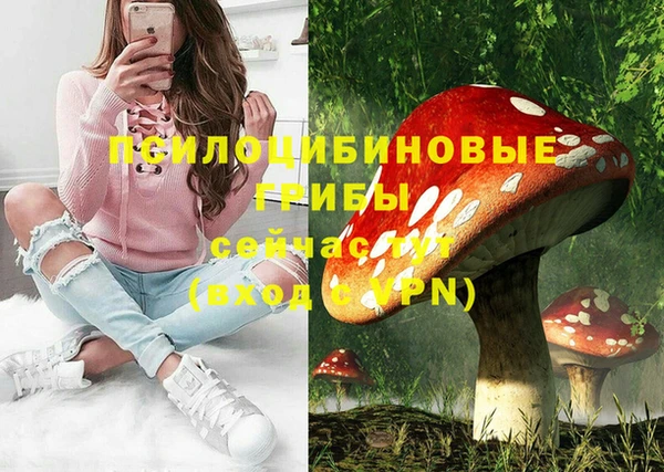 apvp Ветлуга