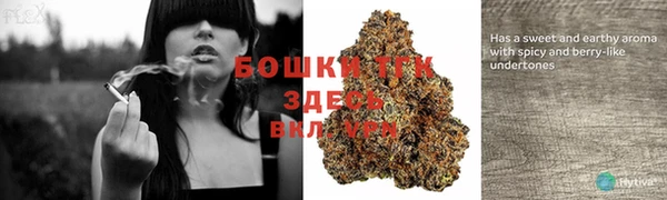 гашик Весьегонск