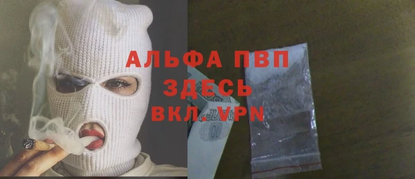 индика Нефтегорск