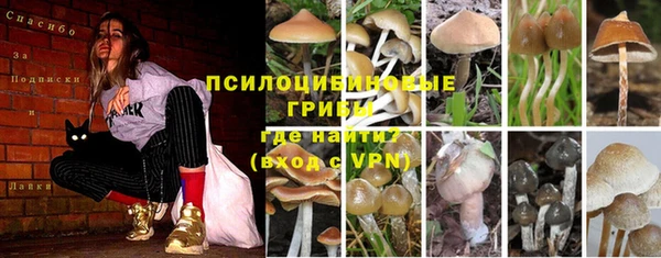 индика Нефтегорск
