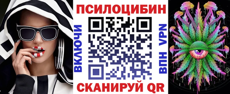 где продают наркотики Поворино Галлюциногенные грибы Psilocybine cubensis